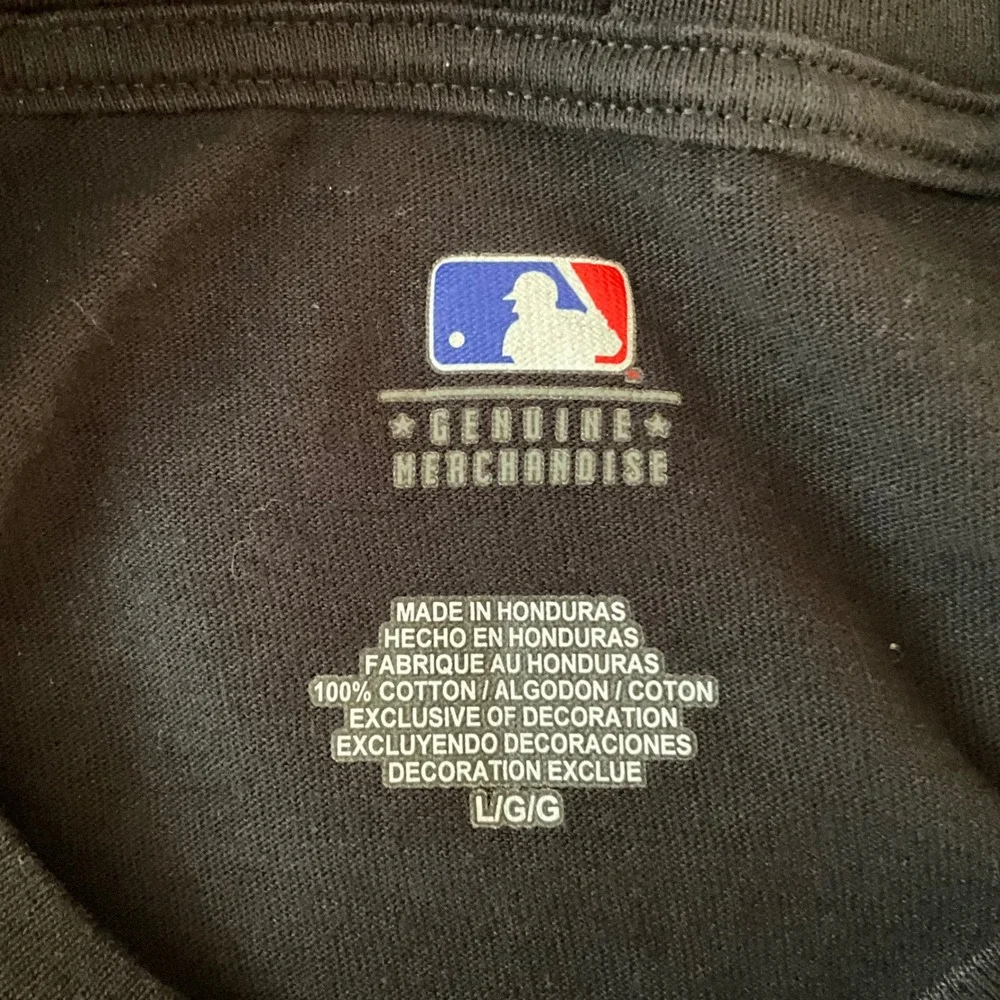 Tampa Bay Rays MLB Baseball T Shirt Mens Large Black Graphic Tee‎